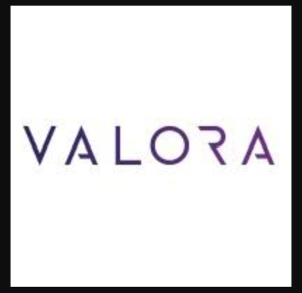 VALORA CONSULTING PRIVATE LIMITED