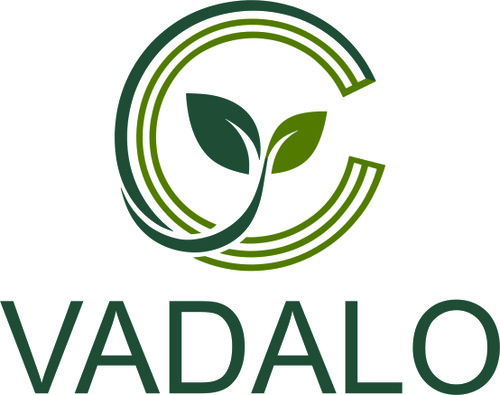 VADALO VENTURES PRIVATE LIMITED
