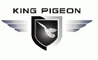 King Pigeon Gsm 3g 4g Alarm Co.,Ltd.