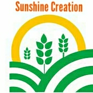 Sunshine Creation 