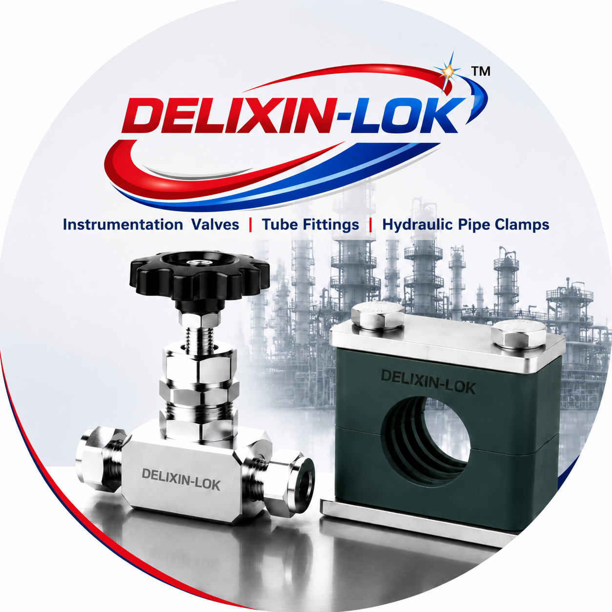 DELIXIN ENTERPRISES