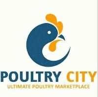 POULTRY CITY