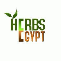 HERBS EGYPT