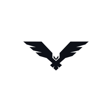 Falcon Trade & Co