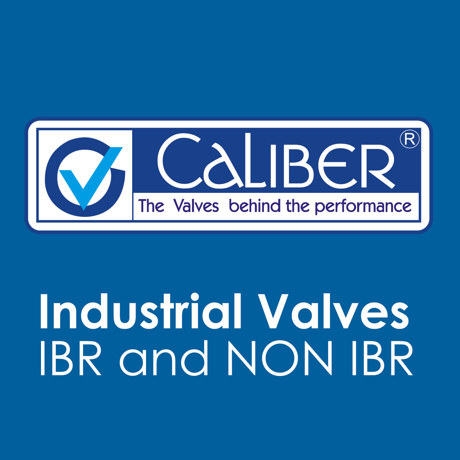 CALIBER VALVES PRIVATE LIMITED