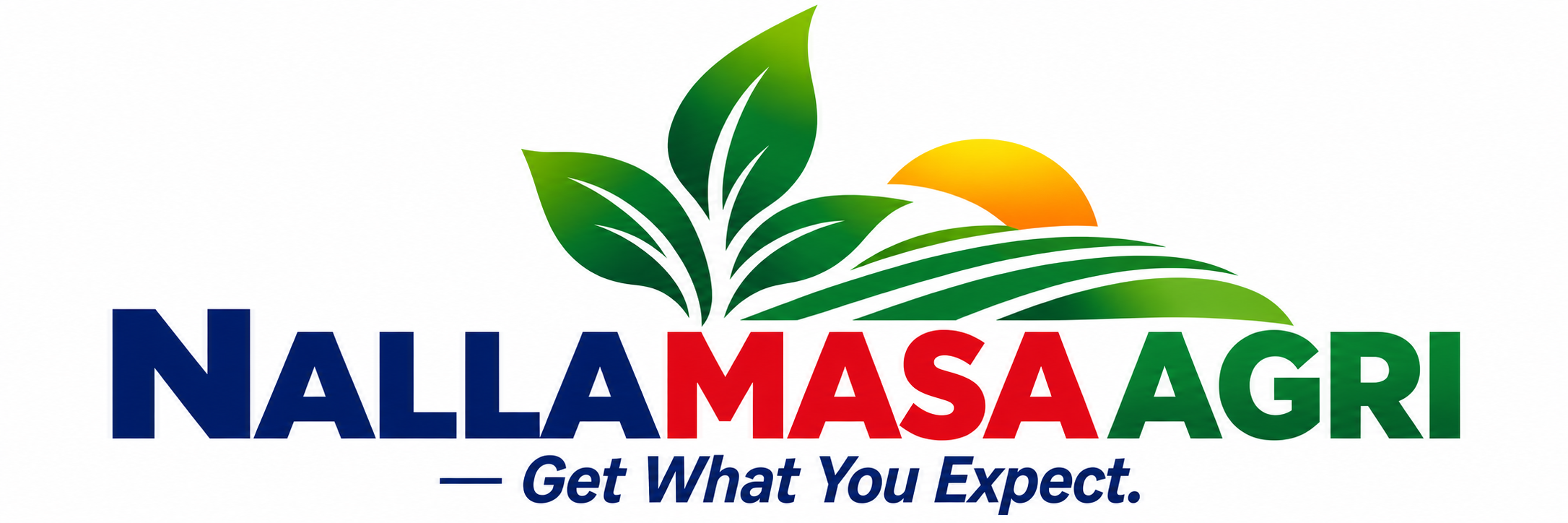 NALLAMASA INDUSTRIES PRIVATE LIMITED