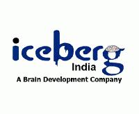 Iceberg India Intelligence Services Private Limited