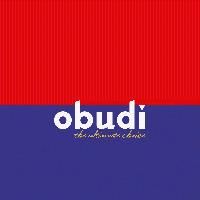 Obudi GBV Co