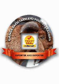 Ganga Bakri Farm and Poultry Traders