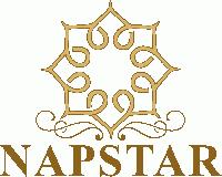 Napstar Impex Consolidated