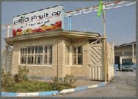 Ario Food Co