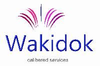 Wakidok Innovative Solutions