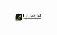 HEXA PETAL INTERNATIONAL