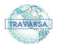 Travarsa Web Designing & Digital Marketing Services