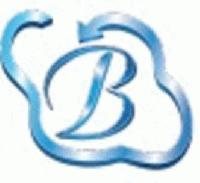 Bhavitra Technologies Pvt. Ltd.