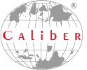 Caliber Tech Solution Pvt Ltd.