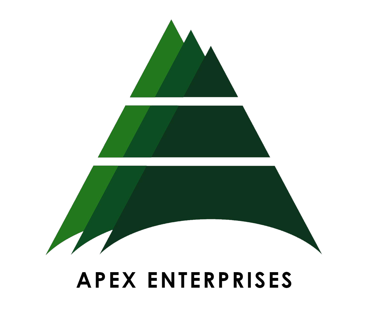 Apex Enterprises
