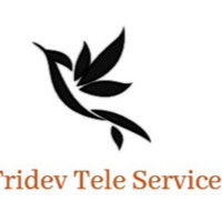 Tridev Tele Service