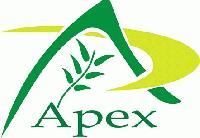 Apex International