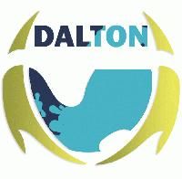 DALTON MINES AND MINERALS PRIVATE LIMITED