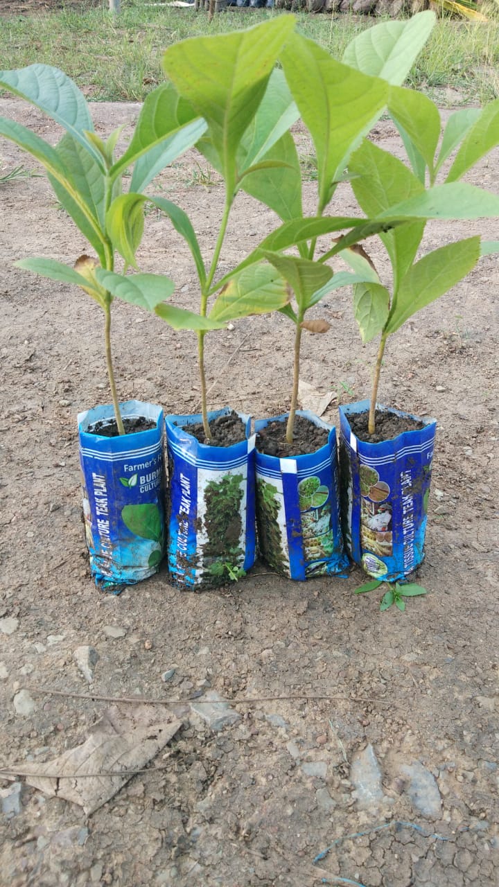 Sai Shakti Bio Technology