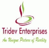 Tridev Enterprises