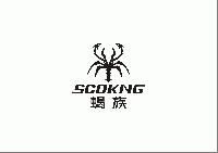 scokng electronic technologyi  dongguani  co.,ltd