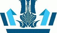 BLUE VISION EXIM