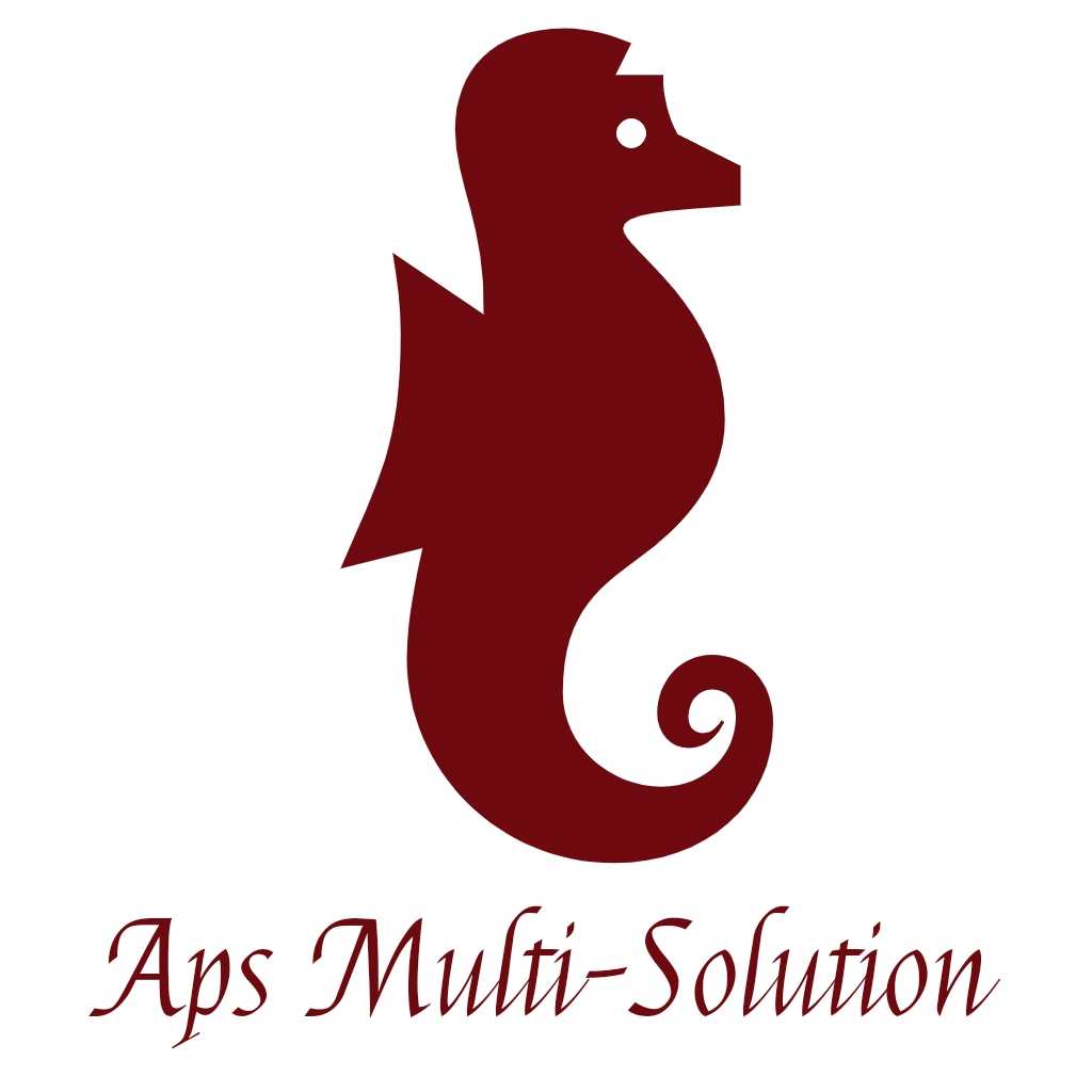 APS MULTI SOLUTION