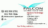 Falcon Global Solutions