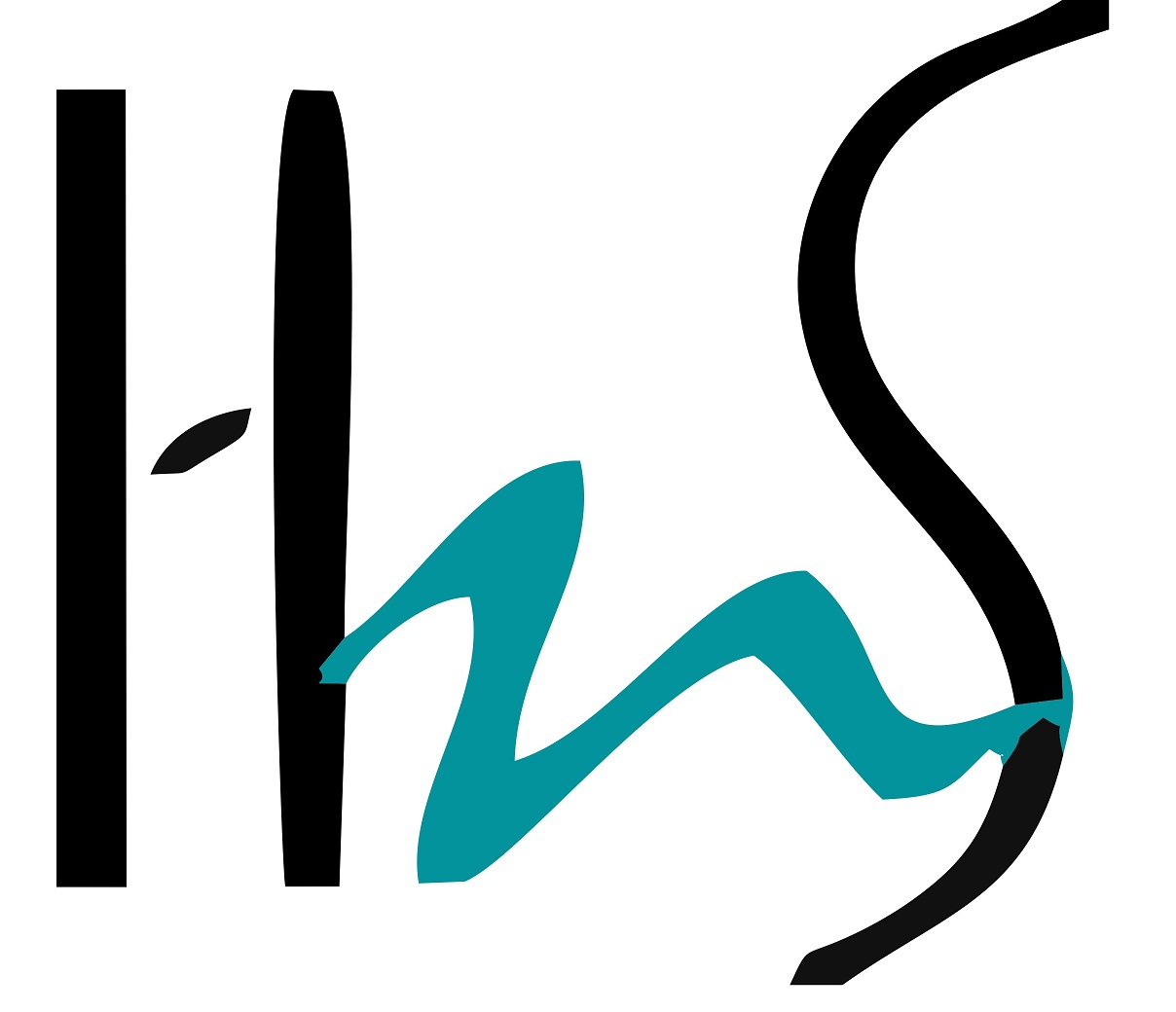 H N System