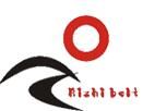 Rizhi Transmission Of Power System (SHANGHAI) Co., Ltd.