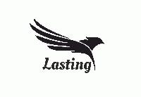 Lasting Software Pvt. Ltd.