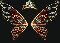 DV Luxury International Pvt.  Ltd