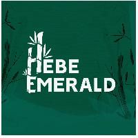 HEBE EMERALD AGRO INDUSTRIES PRIVATE LIMITED