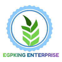 EGPKING ENTERPRISE