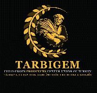 Tarbigem