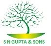 S N Gupta and Sons