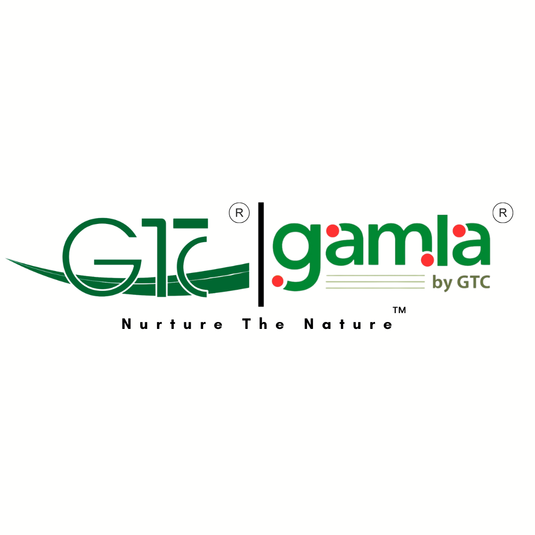 GOYAL TRADING COMPANY