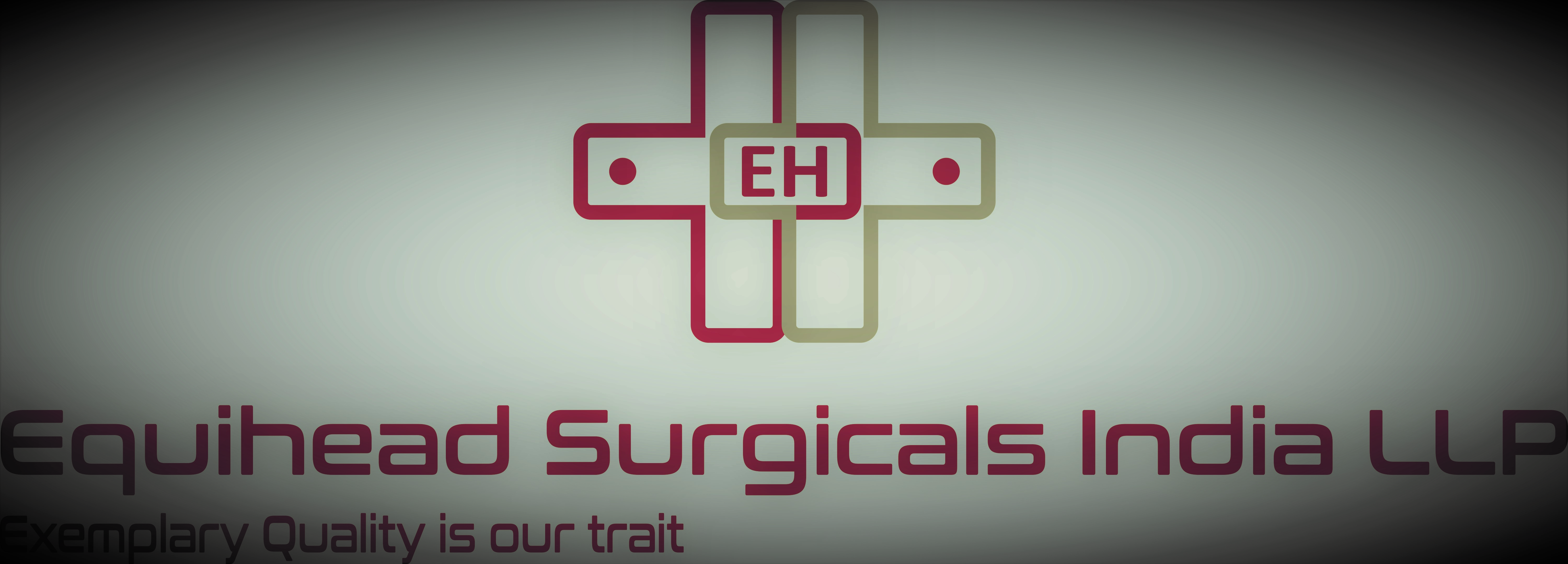 Equihead Surgicals India
