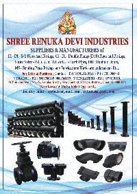 Shree Renuka Devi Industries