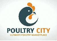 POULTRY CITY