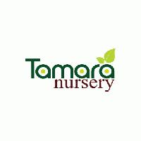 Tamaranursery
