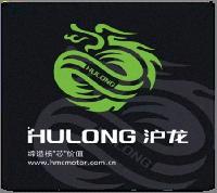 ZHEJIANG HULONG TECHNOLOGY CO.LTD.