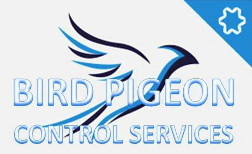 Bird Pigeon Control Services