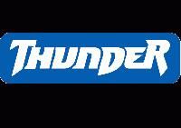 THUNDER AUTO LLP