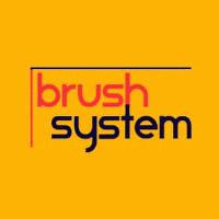 BRUSH PLUS SYSTEM