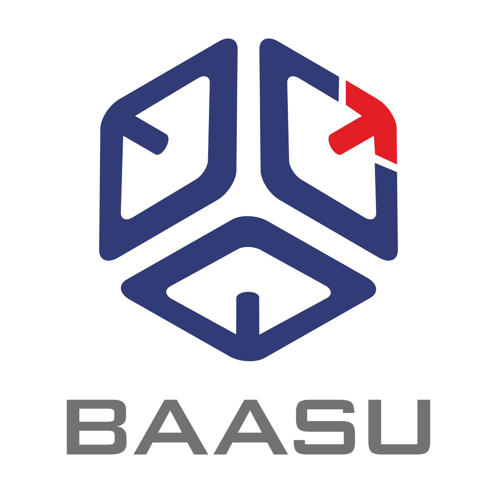 Baasu Consultants