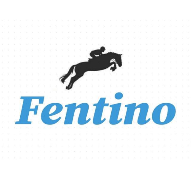 Fentino Fabrics Private Limited