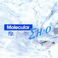 Molecular System Co,. Ltd.